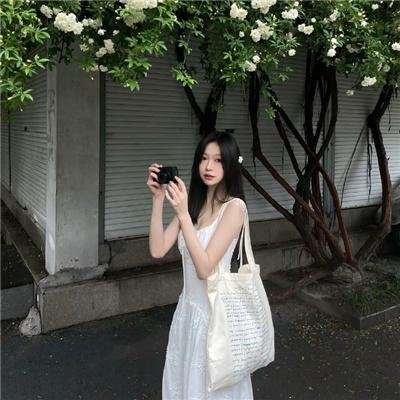 月光下的异世界之旅第二季